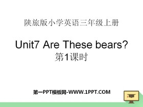 《Are These Bears?》PPT