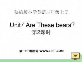《Are These Bears?》PPT课件