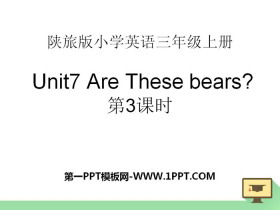 《Are These Bears?》PPT下载