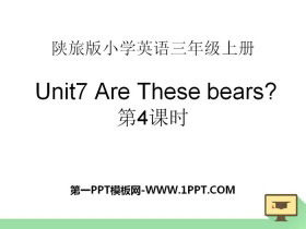 《Are These Bears?》PPT课件下载