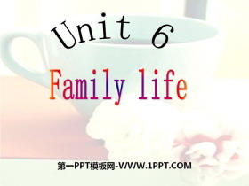 《Family life》PPT