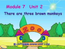 《There are three brown monkeys》PPT课件3