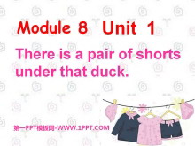 《There's a pair of shorts under that duck》PPT课件