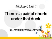 《There's a pair of shorts under that duck》PPT课件3