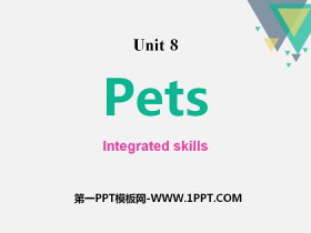 《Pets》Integrated skillsPPT