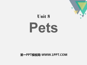 《Pets》PPT