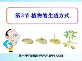 《植物的生殖方式》PPT
