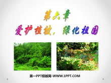 《爱护植被，绿化祖国》PPT课件3