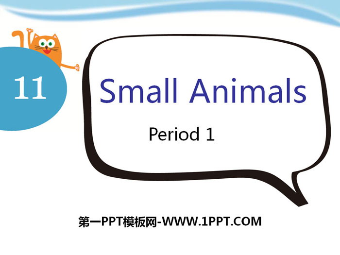 《Small animals》PPT