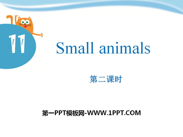 《Small animals》PPT课件