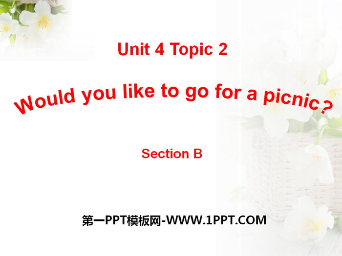 《Would you like to go for a picnic?》SectionB PPT